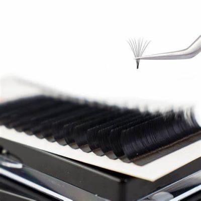 China Wholesale Natural Easy Fanning High Quality Long Eyelash Extension Trays Eyelash Extension With Private Label Customized for sale