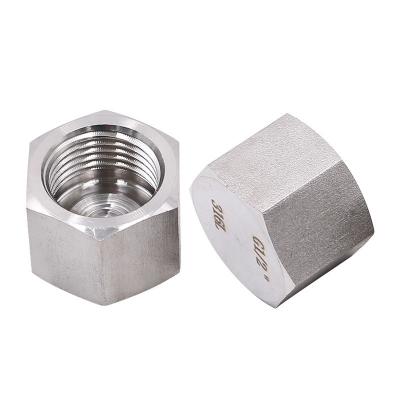 China Thread Type NPT BSP BSPT NXF 2205/2507 Duplex Stainless Steel 314/306 Pipe Fitting Screwed Hex Cap NPT/BSP Threaded Cast Technics for sale