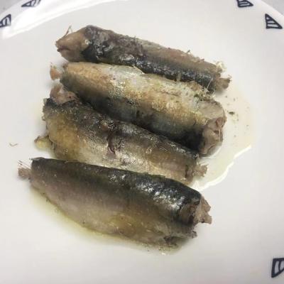 China Canned sardine in can/canned sardine in oil 125g to South America for sale