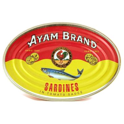 China 198g canned canned sardine in oval can in tomato sauce for sale