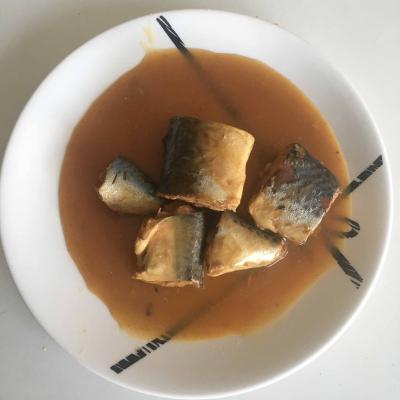 China Factory sales canned mackerel in miso sauce delicious canned fish for sale