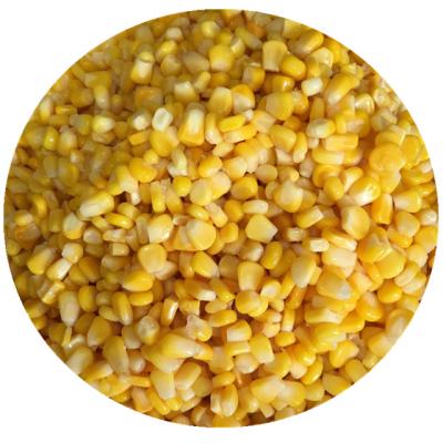 China Best canned 340g canned corn supplier canned kernel corn in brine with cheap price for sale