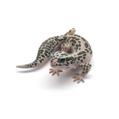 China PVC Model Toys Simulation Reptiles PVC Toys Halloween Animal Lizard Cartoon Figures for sale