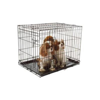 China Modern P dog cagesowder coated for sale