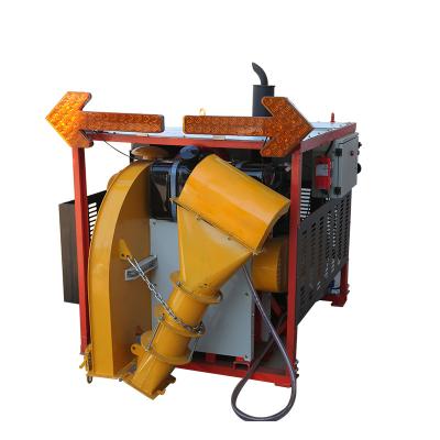 China Portable Gasoline Leaf Blower Leaf Cleaning Blowing Machine That Can Blow Snow And Clean Roads for sale