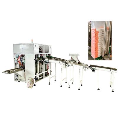 China High Quality and Good Price Noodle Packaging Production Line Bag Filling Machine - Plastic Food Pouches for sale