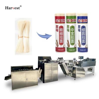 China High Quality Food Low Price Spaghetti Plastic Bag Packaging Machine Making Machine for sale