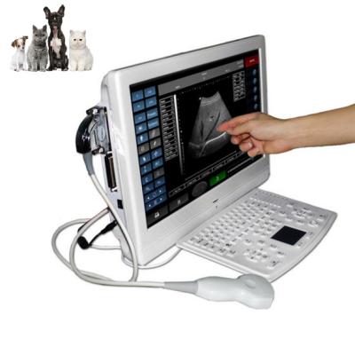 China Clinic Acrylic Touch Screen Pet Equipment Vet Veterinary Ultrasound Scanner With Microconvex Probe For Canine And Good Price BW08vet-W for sale