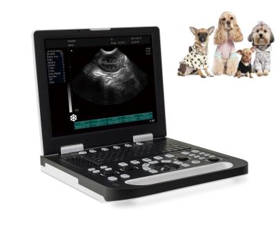 China Acrylic Horse Equine Veterinary Dog Clinic Echocardiography Veterinary Ultrasound Machine For Pregnancy BW22-W for sale