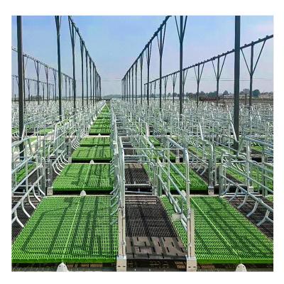 China Double Weighing Farrowing Crate Various Size Strength Pig Flooring Slat Plastic Sow Pigs Flooring Plastic Flooring For Pigs for sale