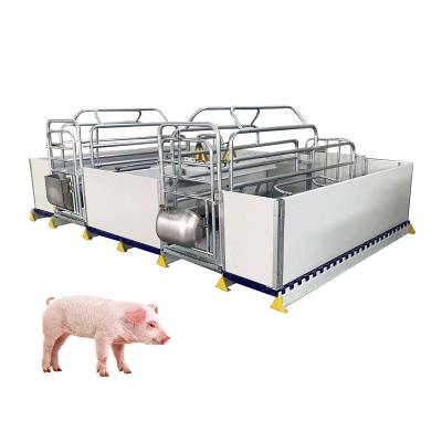 China Pig farm high quality pig pen pig farm equipment forrowing farrowing crates for sale