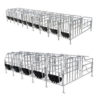 China Pig Farm Pig Farm Equipment Hot Dip Galvanized Fence Sow Gestation Crates Pig Fattening For Pig for sale