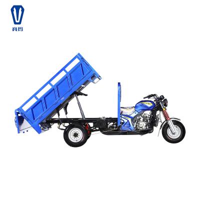 China Cargo 3 Wheel Canopy Good Quality Loader Mobility Pedicab Auto Rickshaw for sale