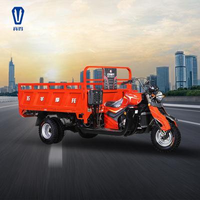 China Cargo Motorcycle Truck 3 Wheel Tricycle , ZS-3 Type Gasoline Tricycle For Cargo Transportation for sale