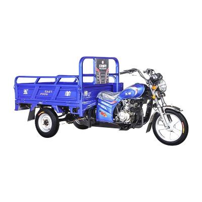 China Cargo Heavy Load 3 Wheel Motorcycle , 150cc / 200cc Cargo Motor Tricycle China for sale