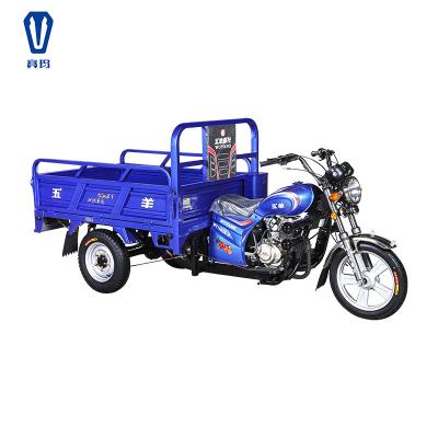 China Cargo Gasoline Tricycle , Motorcycles 3 Wheeler For Cargo Transportation for sale