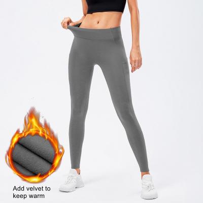 China Hot Sale Breathable Ladies Plus Velvet Gaiters Exercise Workout Clothes Compression Yoga Gaiters Ladies Sweatpants for sale