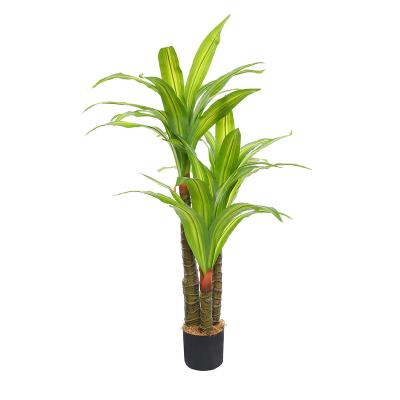 China New Rubberized Fabric Selling Tropic Plants Dracaena Home Decoration Artificial Fragrans For Wholesale for sale