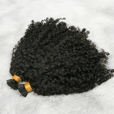 China Natural Black Hair I Kinky Curly Tip I Hair Extensions Afro Curly Tip Hair for sale