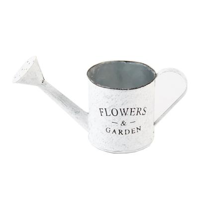 China New CLASSIC white iron bucket watering can flower pot children gardening flower pot for home decoration for sale