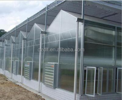 China GLASS POULTRY GREENHOUSE for sale