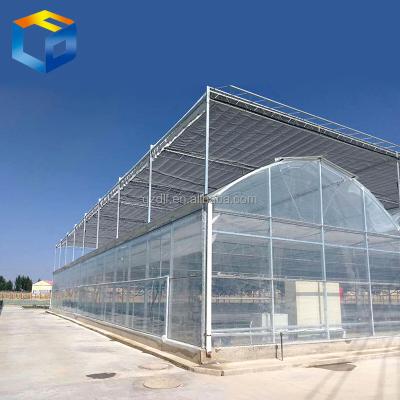 China INDUSTRIAL GLASS GREENHOUSE in glass for sale