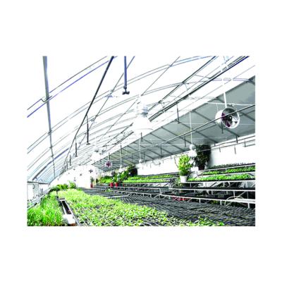 China Building Material Shops High Efficiency Air Flow Fan For Greenhouse for sale