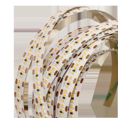 China LANDSCAPE good quality 300 LED 12v led strip light SMD 2216 led light for kitchen party home christmas for sale