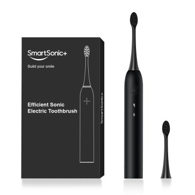 China OEM Sonic Electric Tooth Brush Manufacturers rechargeable inductive cordless household for sale