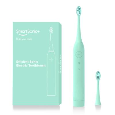 China Leve Force Eco-Friendly Toothbrush Electric 3 Teeth Brush Toothbrush With Changeable Brush Main Custom Logo for sale