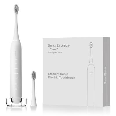 China Household Dentist Recommend Smartsonic+ Sonic Rechargeable Electric Toothbrush Waterproof IPX7 For Adult for sale