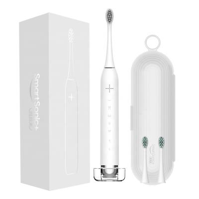 China Travel Electric Toothbrush IPX7 Waterproof PP Food Grade Electric Sonic Toothbrushes for sale