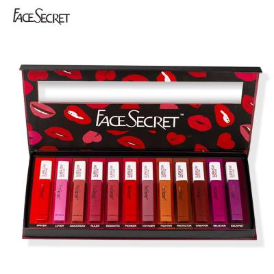 China Full Coverage 12 Colors Fashion Trend Lip Gloss Set Waterproof Long Lasting Matte Private Label for sale