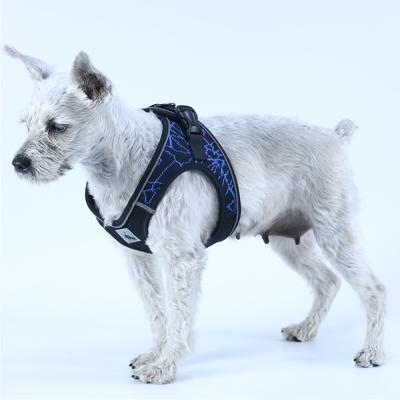 China Lead Dog Collar Polyester Meshpet Lead Adjustable Pet Night Viable Harness and Thoughtful Chest Walking Harness for sale