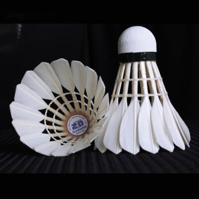 China Traning use wholesale promotion Sunbatta badminton shuttlecock feather shuttlecock for sale