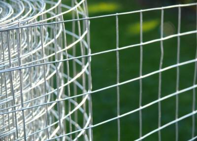 Chine fil Mesh Fence de l'acier inoxydable 304 316/fil Mesh Roll en métal de 0.5m-3M à vendre