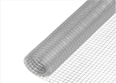 China 0,148 en el pájaro de acero inoxidable Mesh Anti Rust 1x1 soldó con autógena la cerca de alambre en venta