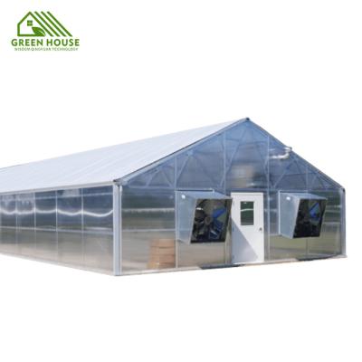 China Stable Structure Easily Assembled 30ft x 100ft Automatic Greenhouse Drug High Quality Blackout Growing Greenhouse for sale