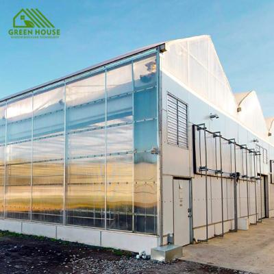 China Medicinal Plants Cheapest Aquaponic System Greenhouse Greenhouse For Strawberries And Flowers Hydroponics Growing System for sale