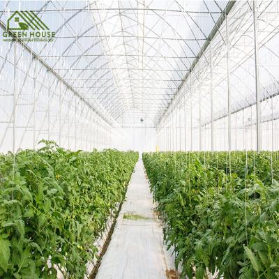 China Floral Medicinal Plants Plant Blackout Greenhouse With LED Growing Light for sale