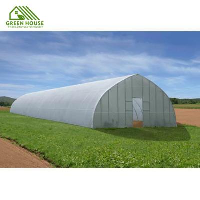 China Plant Growth Galvanized Steel Pipe Frame Medicinal Plants Delicate Plants Tunnel Plastic Film Greenhouse for sale