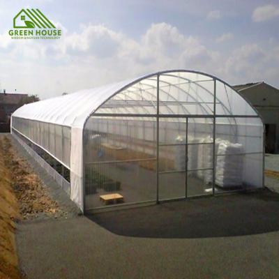 China Plant Growth High Hole Plastic Greenhouse, Vegetables, Tomatoes, Eggplant, Cucumbers, Potatoes, Tunnel Greenhouse for sale