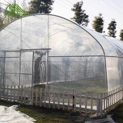 China High Plant Growth Hole Plastic Greenhouse Plant Greenhouse Floral Fruit Plant Tunnel Greenhouse for sale