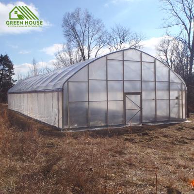 China Hot Type Film Greenhouse Vegetable Growing Vegetables Vending Tunnel Agricultural Greenhouse for sale