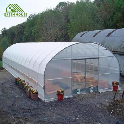 China Dragon Fruit Low Cost Tunnel Greenhouse Fruit Dragon Fruit Breeding Greenhouse For Sale for sale