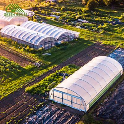 China Vegetable Factory Price Single Greenhouse Vegetable Growing Insert Greenhouse for sale