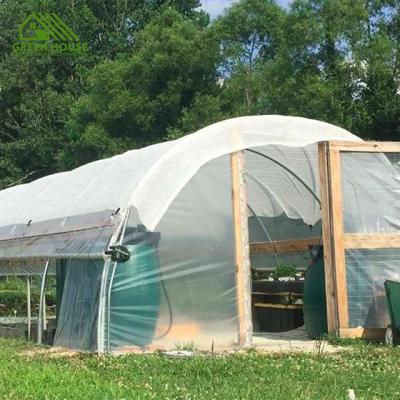 China Single Leaf Cucumber Plastic Greenhouse Tunnel Tiller Low Cost Growing Span Greenhouse For Sale for sale