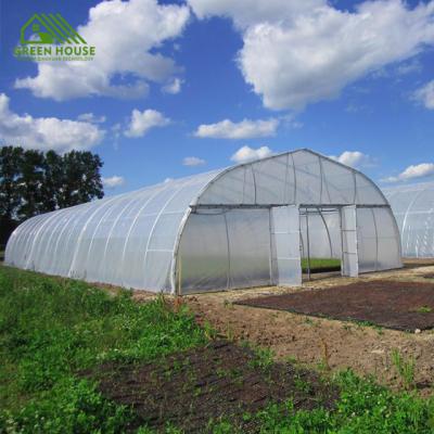 China Vegetables Low Cost Tunnel Greenhouse Single Tunnel Greenhouse For Vegetable And Fruit Growing for sale