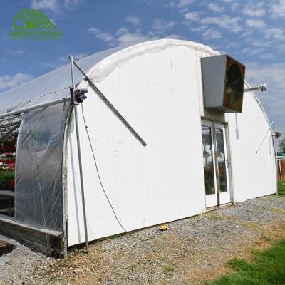 China Factory Price Fruit Grape Growing Tunnel Greenhouse Fruit Grape Greenhouse For Sale for sale