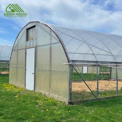 China Vegetable Tunnel Greenhouse Low Cost Single Insert Greenhouse For Vegetable And Eggplant Growing for sale